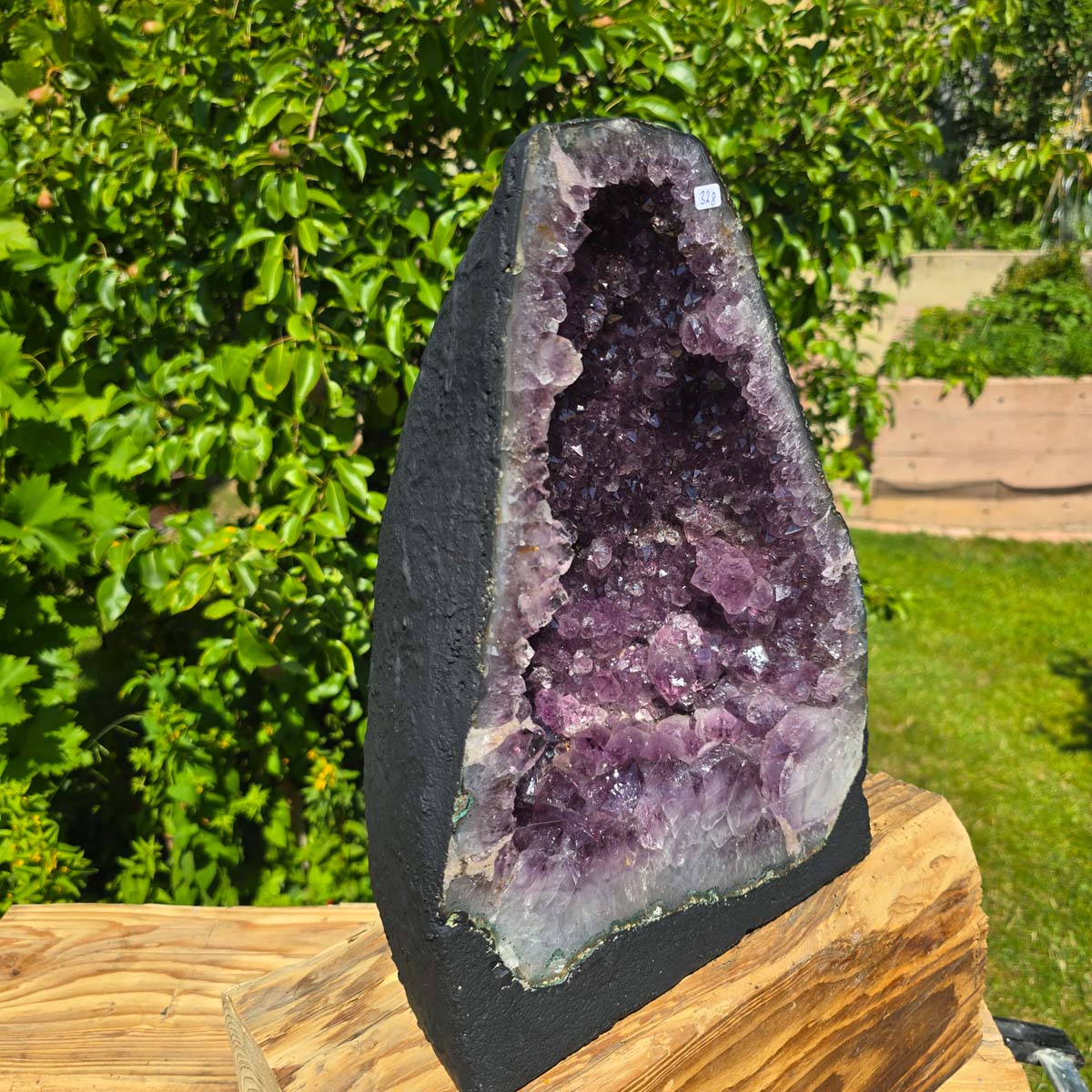 Amethyst Druse – Geode - 36x25x18cm und 14,6kg – Steinwelten OG - Nr. 328 displaying unique purple crystals outdoors