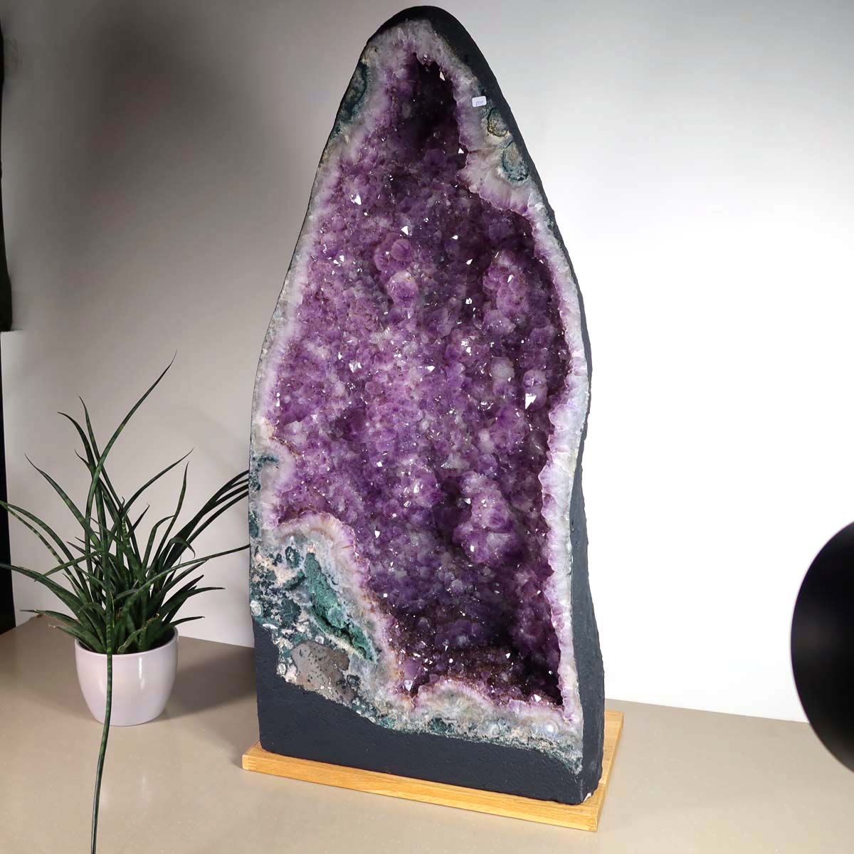 Amethyst Druse – Geode - 38x80x24cm und 69,4kg – Steinwelten OG - Nr. 458, unique decor for homes, hotels, or therapy spaces.