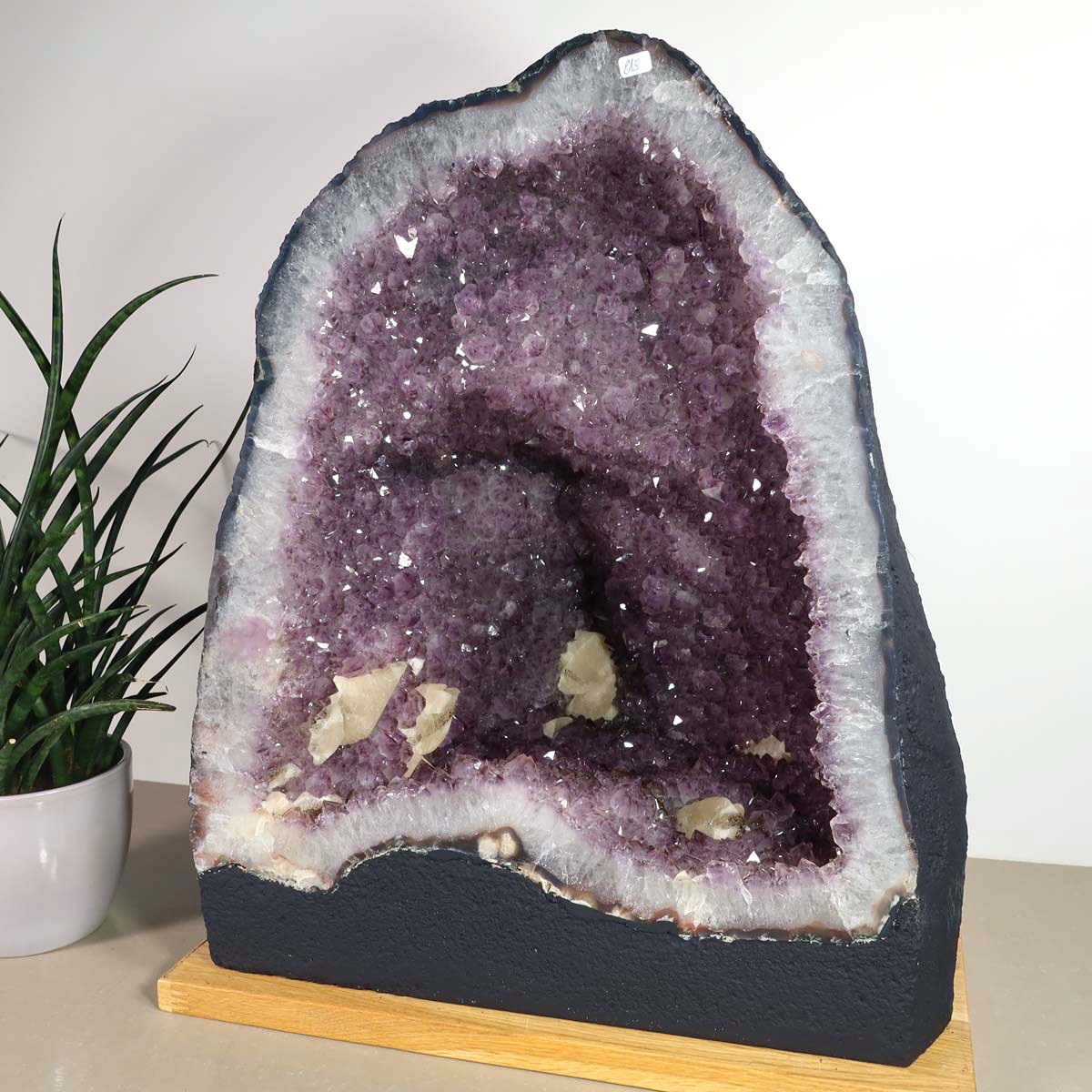 Amethyst Druse – Geode - 37x45x28cm und 40,6kg – Steinwelten OG - Nr. 490, unique crystal for stylish decor and healing.
