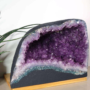 Amethyst Druse – Geode - 42x31x23cm und 32,8kg – Steinwelten OG - Nr. 456 placed on a wooden stand with a plant in the background