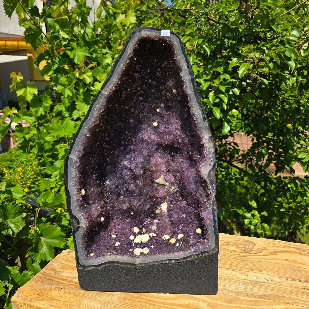 Amethystdrusen Paar 1A - 48kg - Höhe 47cm - Harmonie und Entspannung - UNIKAT 22 in natürlichem Licht