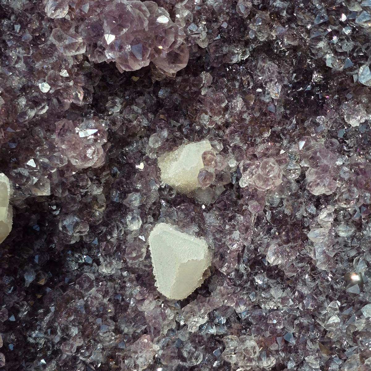 Amethystdrusen Paar 1A - 66kg - Höhe 67cm - Harmonie und Entspannung - UNIKAT 101 showing sparkling purple crystals