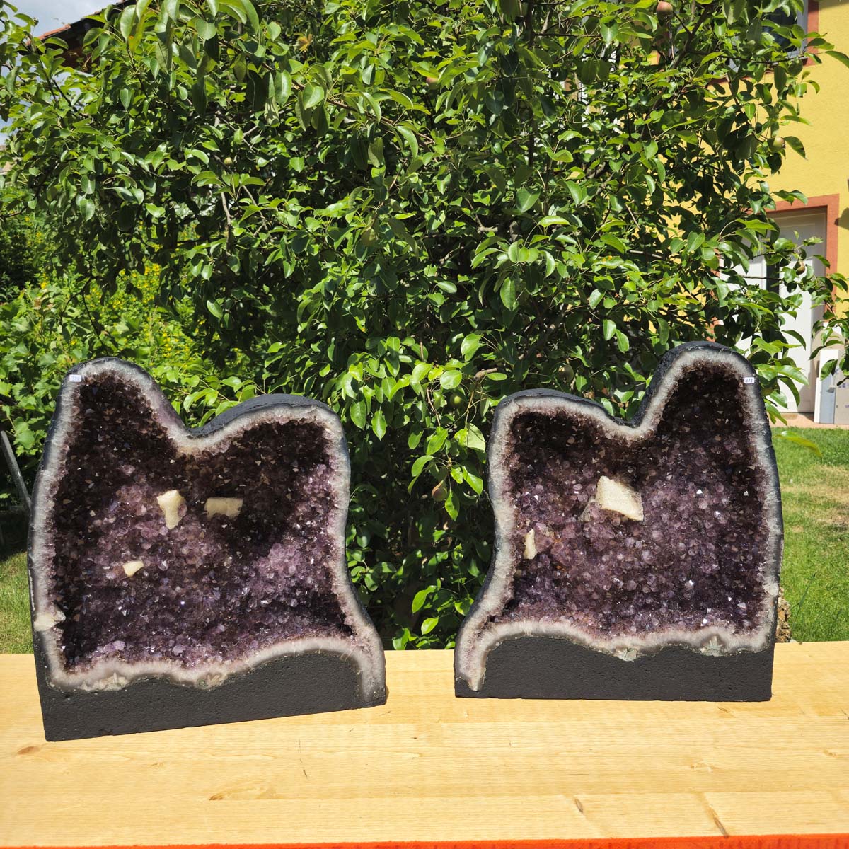 Amethystdrusen Paar 1A - 89kg - Höhe 51cm - Harmonie und Entspannung - UNIKAT 370 showcasing natural beauty in sunlight