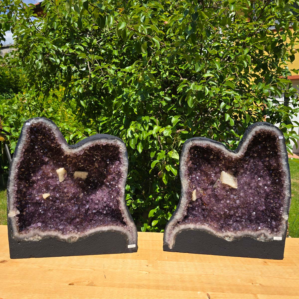 Amethystdrusen Paar 1A - 89kg - Höhe 51cm - Harmonie und Entspannung - UNIKAT 370 vor grünem Hintergrund