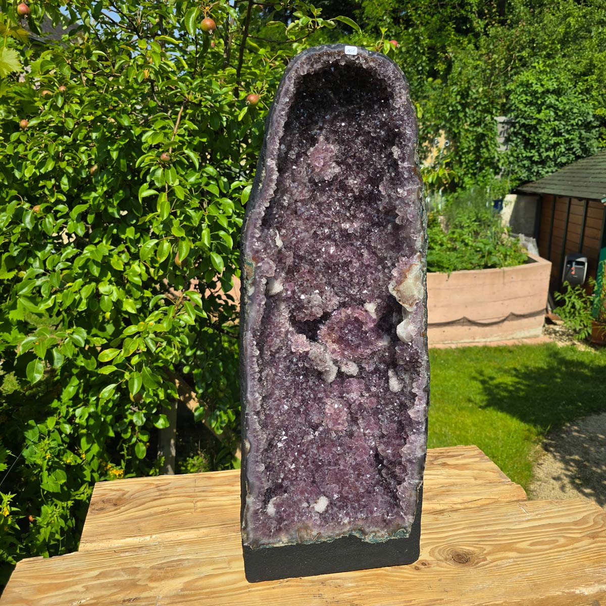 Amethystdrusen Paar 1A - 66kg - Höhe 67cm - Harmonie und Entspannung - UNIKAT 101 in Gartenumgebung
