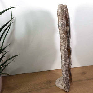 Ammonit - Versteinertes echtes Fossil mit Natursteinsockel, 38 x 27 cm - Nr. 22 seitlich in einer modernen Umgebung