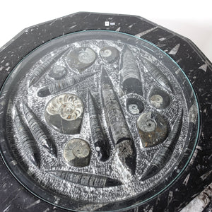 Couchtisch mit Orthoceras und Ammoniten Fossilien, einzigartiges Design mit Naturstein und Urzeitfossilien, exklusives Wohnzimmertischstück.