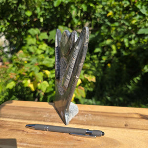 Dekorative handgefertigte Steinskulptur mit Ammoniten und Orthoceren (Fossilien) – 18x16x5cm - Nr. 89 auf Holzunterlage