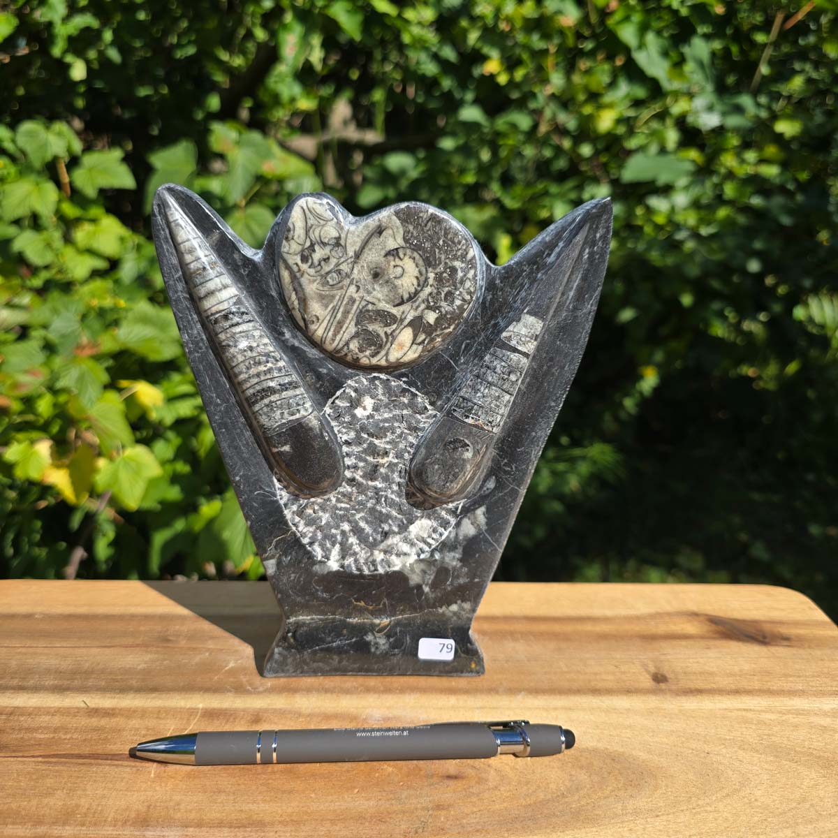 Dekorative handgefertigte Steinskulptur mit Ammoniten und Orthoceren (Fossilien) – 18x16x5cm - Nr. 79.