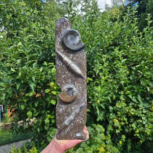 Dekorative handgefertigte Steinskulptur mit Ammoniten und Orthoceren (Fossilien) – 18x16x5cm - Nr. 92, aus schwarzem Fossilienmarmor.