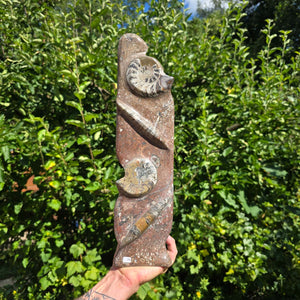Dekorative handgefertigte Steinskulptur mit Ammoniten und Orthoceren (Fossilien) – 40x10x8cm - Nr. 74