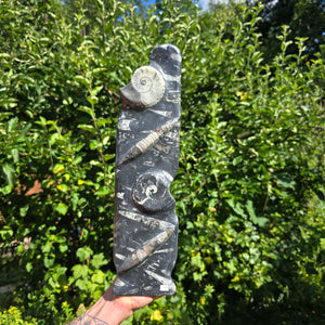 Dekorative handgefertigte Steinskulptur mit Ammoniten und Orthoceren (Fossilien) – 40x10x8cm - Nr. 75, Steinskulptur mit Fossilien.