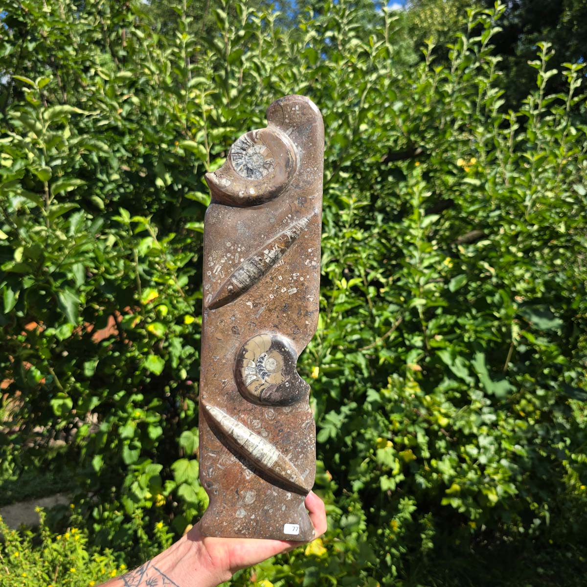 Dekorative handgefertigte Steinskulptur mit Ammoniten und Orthoceren (Fossilien) – 40x10x8cm - Nr. 77 in der Natur.