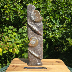Dekorative handgefertigte Steinskulptur mit Ammoniten und Orthoceren (Fossilien) – 40x10x8cm - Nr. 67