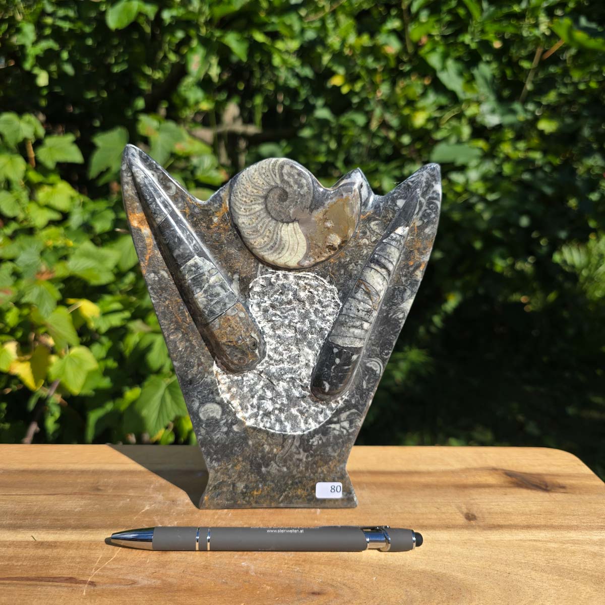 Dekorative handgefertigte Steinskulptur mit Ammoniten und Orthoceren (Fossilien) – 18x16x5cm - Nr. 80 in der Natur.
