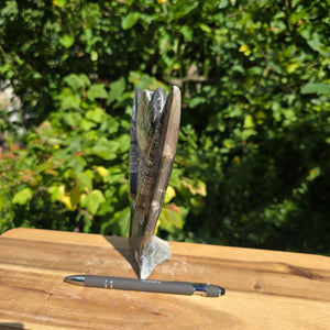 Dekorative handgefertigte Steinskulptur mit Ammoniten und Orthoceren (Fossilien) – 18x16x5cm - Nr. 81
