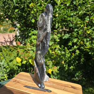 Dekorative handgefertigte Steinskulptur mit Ammoniten und Orthoceren (Fossilien) – 40x10x8cm - Nr. 73 auf einem Holztisch.