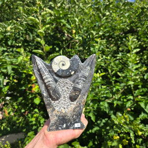 Dekorative handgefertigte Steinskulptur mit Ammoniten und Orthoceren (Fossilien) – 18x16x5cm - Nr. 82