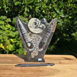 Dekorative handgefertigte Steinskulptur mit Ammoniten und Orthoceren (Fossilien) – 18x16x5cm - Nr. 81