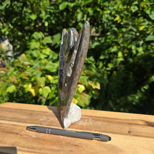 Dekorative handgefertigte Steinskulptur mit Ammoniten und Orthoceren (Fossilien) – 18x16x5cm - Nr. 83 auf einem Tisch.