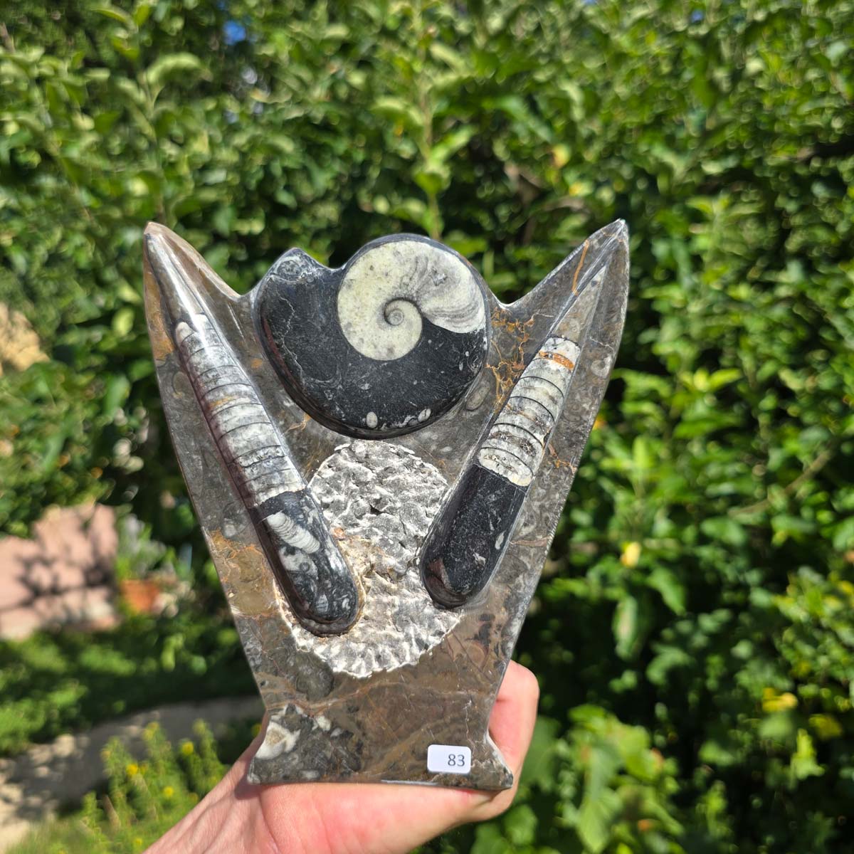 Dekorative handgefertigte Steinskulptur mit Ammoniten und Orthoceren (Fossilien) – 18x16x5cm - Nr. 83