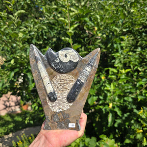 Dekorative handgefertigte Steinskulptur mit Ammoniten und Orthoceren (Fossilien) – 18x16x5cm - Nr. 86 auf Holzuntergrund