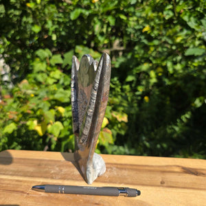Dekorative handgefertigte Steinskulptur mit Ammoniten und Orthoceren (Fossilien) – 18x16x5cm - Nr. 87 auf Holzuntergrund