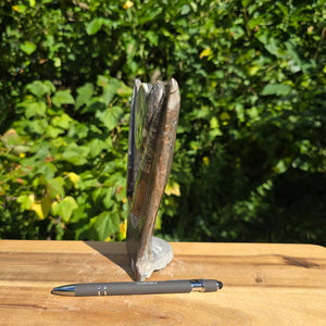Dekorative handgefertigte Steinskulptur mit Ammoniten und Orthoceren (Fossilien) – 18x16x5cm - Nr. 85 seitlich