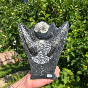 Dekorative handgefertigte Steinskulptur mit Ammoniten und Orthoceren (Fossilien) – 18x16x5cm - Nr. 90