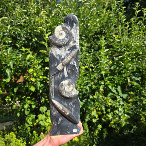 Dekorative handgefertigte Steinskulptur mit Ammoniten und Orthoceren (Fossilien) – 40x10x8cm - Nr. 73