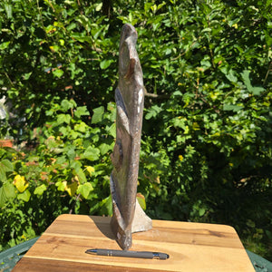 Dekorative handgefertigte Steinskulptur mit Ammoniten und Orthoceren (Fossilien) – 40x10x8cm - Nr. 76 auf Holzoberfläche