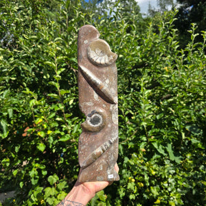 Dekorative handgefertigte Steinskulptur mit Ammoniten und Orthoceren (Fossilien) – 40x10x8cm - Nr. 66