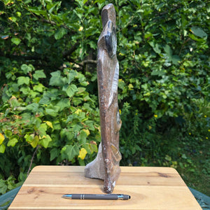 Dekorative handgefertigte Steinskulptur mit Ammoniten und Orthoceren (Fossilien) – 40x10x8cm - Nr. 65