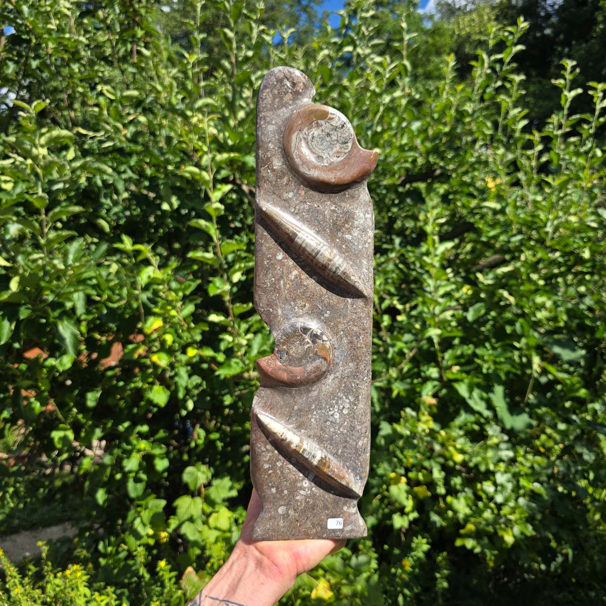 Dekorative handgefertigte Steinskulptur mit Ammoniten und Orthoceren (Fossilien) – 40x10x8cm - Nr. 76 in der Natur.