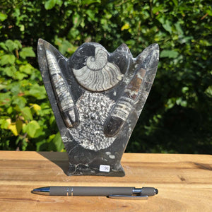 Dekorative handgefertigte Steinskulptur mit Ammoniten und Orthoceren (Fossilien) – 18x16x5cm - Nr. 91