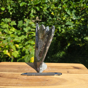 Dekorative handgefertigte Steinskulptur mit Ammoniten und Orthoceren (Fossilien) – 18x16x5cm - Nr. 80 auf einem Holztisch.