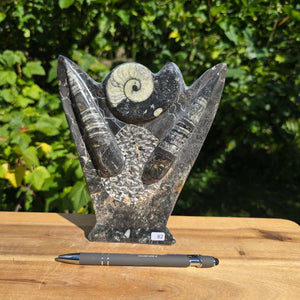 Dekorative handgefertigte Steinskulptur mit Ammoniten und Orthoceren (Fossilien) – 18x16x5cm - Nr. 82