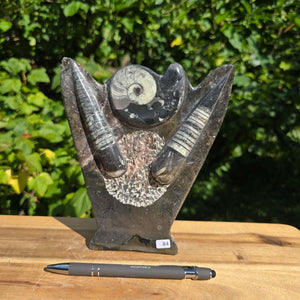 Dekorative handgefertigte Steinskulptur mit Ammoniten und Orthoceren (Fossilien) – 18x16x5cm - Nr. 84 auf Holzuntergrund.