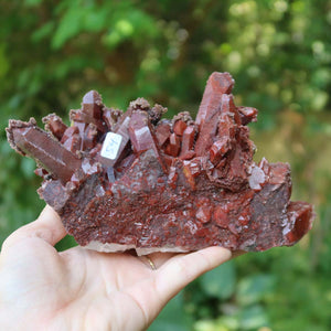 Seltene Hämatit Quarz Bergkristall Stufe (Eisenquarz) 16x6x10cm Marokko Nr. 54