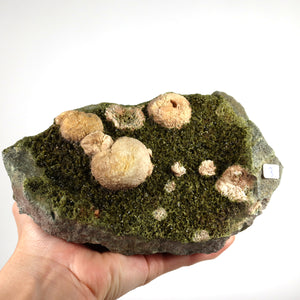 Epidot Kristall mit Prehnit aus Marokko, Unikat für Sammler. Ideal für Selbstliebe und Erholung. Erhältlich im Steinwelten Online Shop.