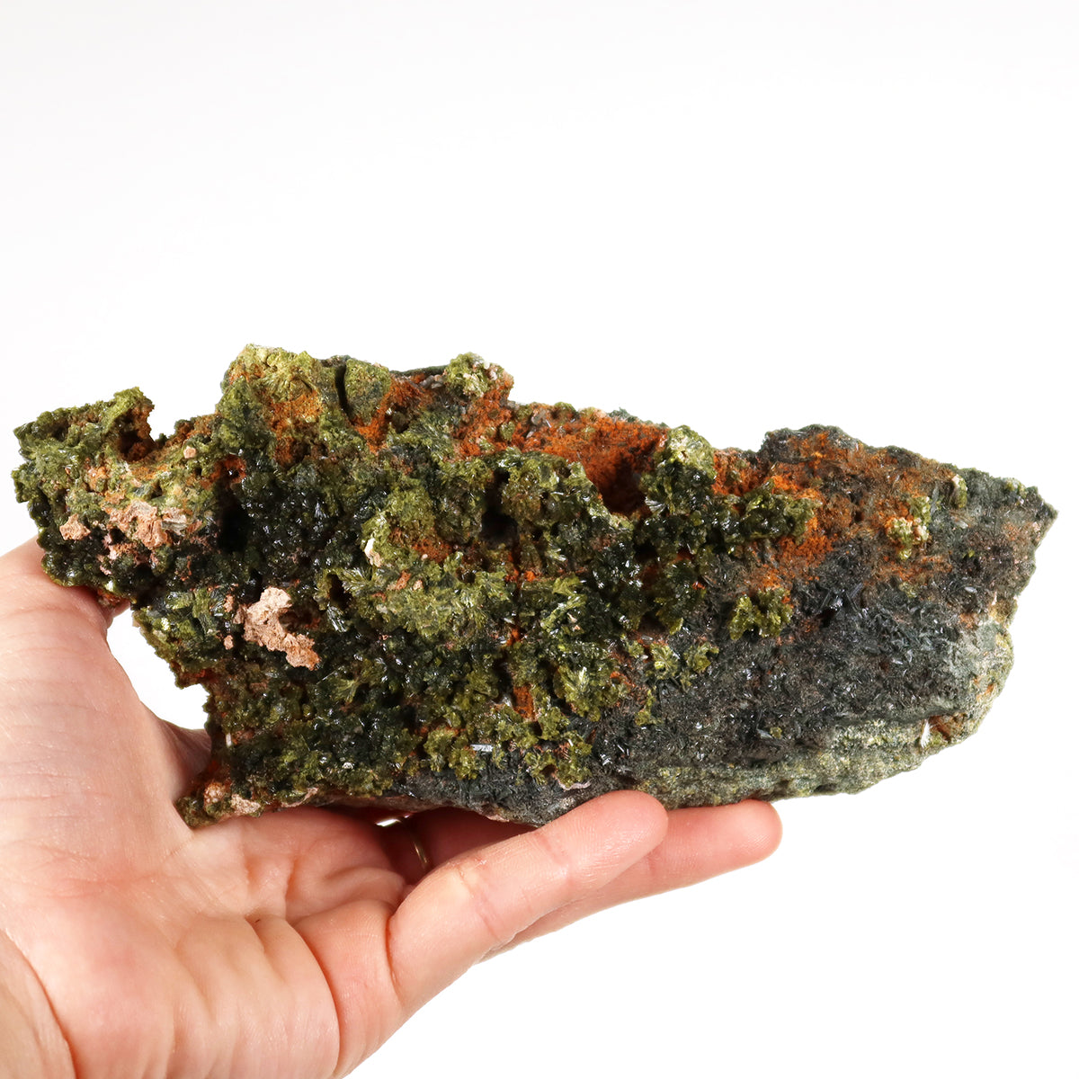 Epidot Kristall mit Prehnit aus Marokko, 16x7x3,5cm, in Hand gehalten - Mineralienatlas kaufen, einzigartiger Sammlerstück Mineral.