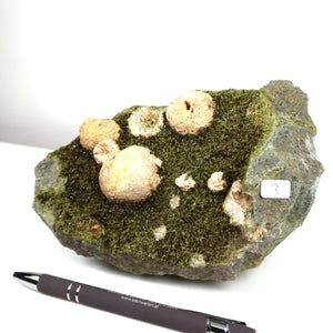 Epidot Kristall Stufe mit Prehnit aus Marokko, 16x9x9cm, auf weißem Hintergrund, für Steinwelten Sammler, online kaufen.