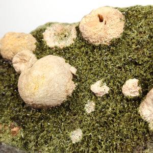 Epidot Kristall mit Prehnit aus Marokko, naturbelassene Mineralien für Sammler, erhältlich im Steinwelten Online Shop.