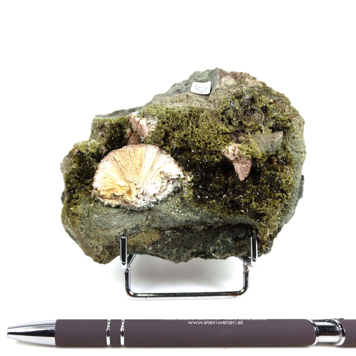 Epidot and Prehnit crystal specimen from Morocco, 11x8x6 cm, on display with a pen for scale, ideal for mineral collectors.