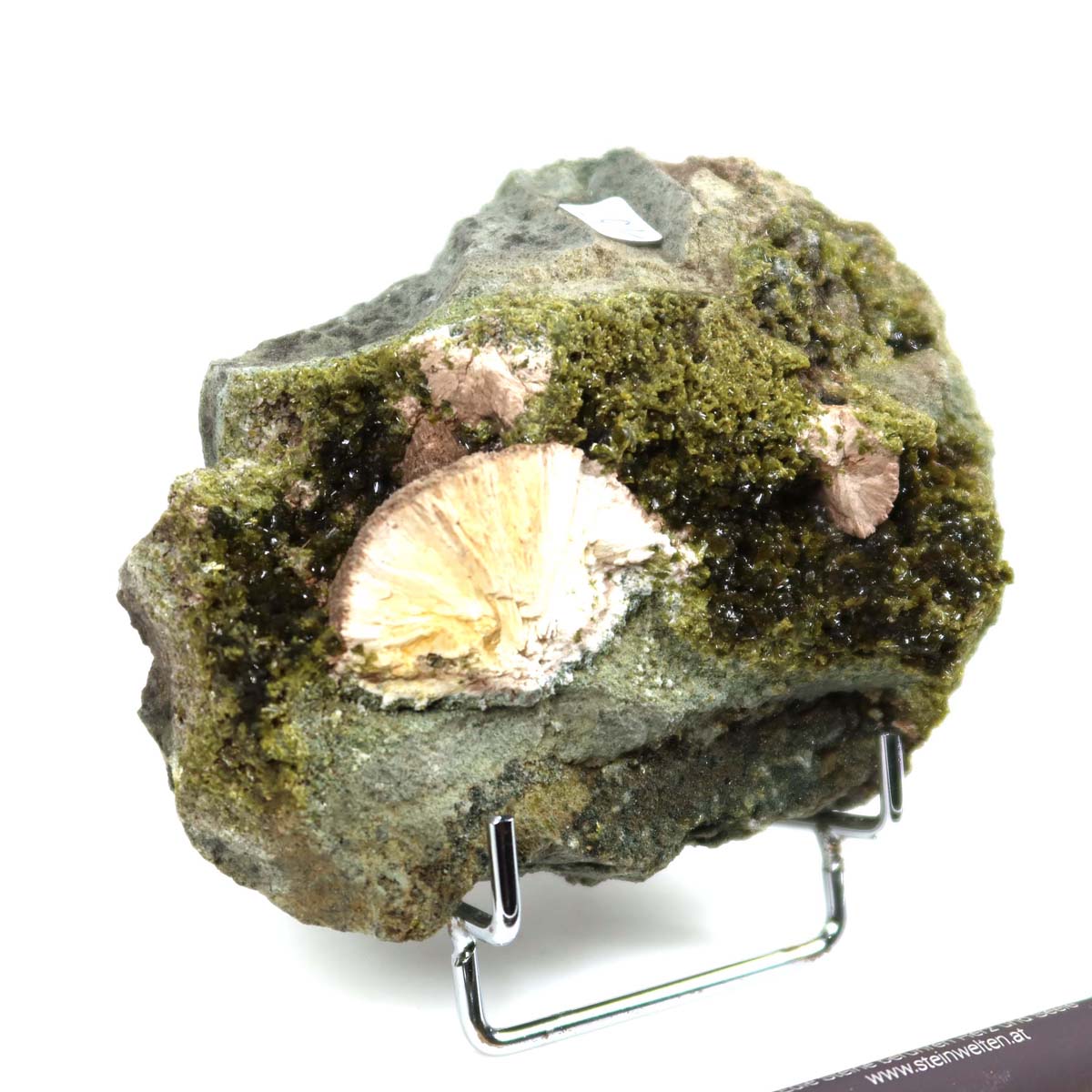 Epidot and Prehnit crystal specimen from Morocco, 11x8x6 cm, on display with a pen for scale, ideal for mineral collectors.