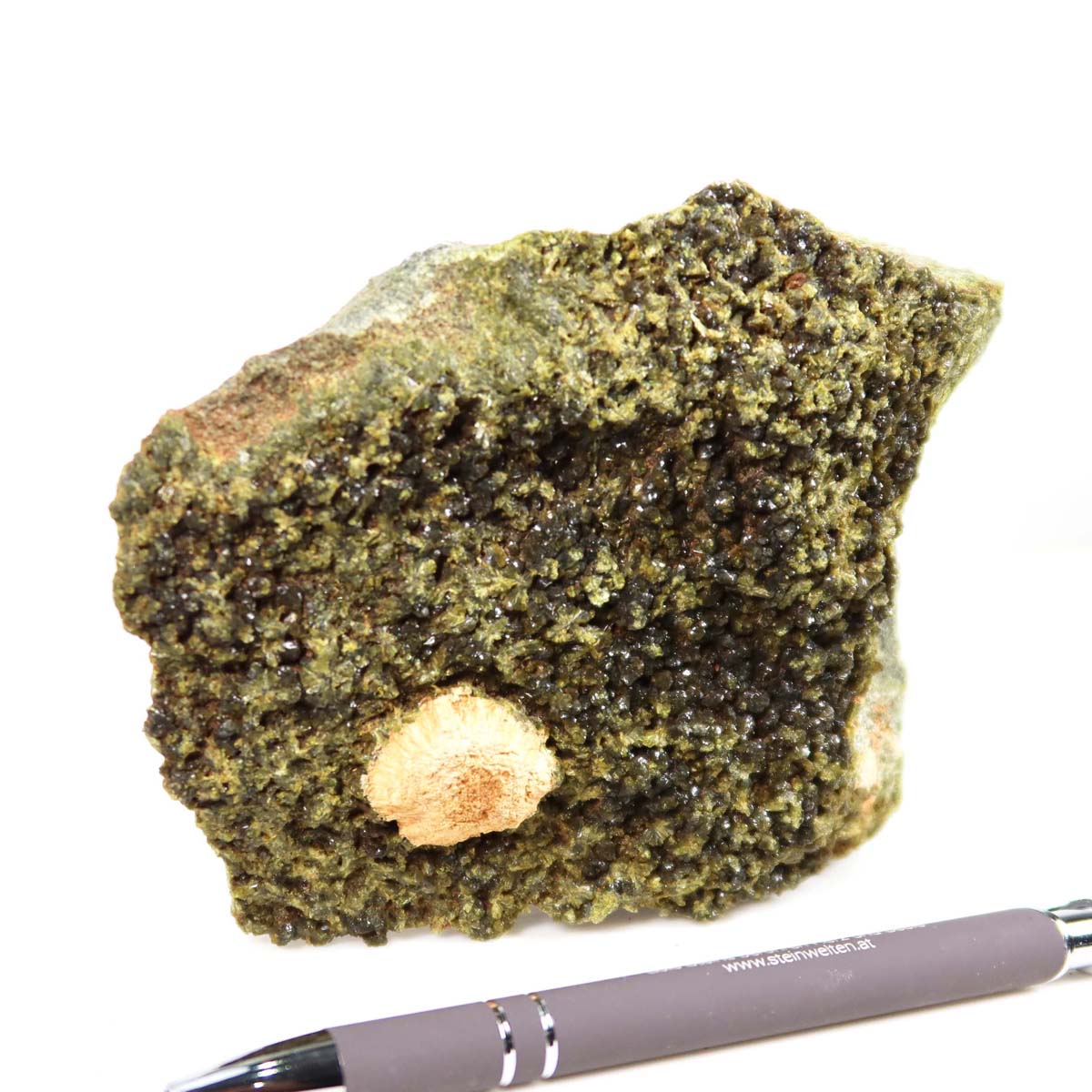 Epidot Kristall Stufe mit Prehnit aus Marokko, naturbelassen, für Mineraliensammler, 13x10x4 cm, neben einem Stift.