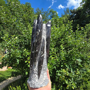 Geschliffene Freiform (Turm) mit Ammoniten und Orthoceras – 29x10x9cm - Nr. 59