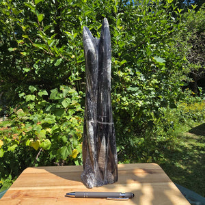 Geschliffene Freiform (Turm) mit Ammoniten und Orthoceras – 37x10x10cm - Nr. 57