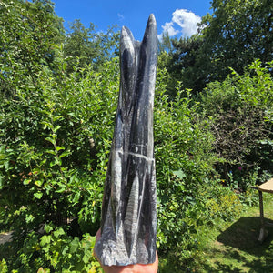 Geschliffene Freiform (Turm) mit Ammoniten und Orthoceras – 37x10x10cm - Nr. 57