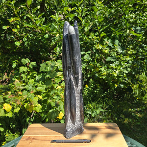 Geschliffene Freiform (Turm) mit Ammoniten und Orthoceras – 43x11x8cm - Nr. 61